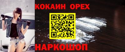 стаф Камышлов