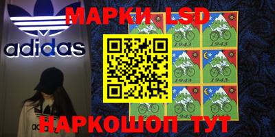 ПСИЛОЦИБИНОВЫЕ ГРИБЫ Кандалакша