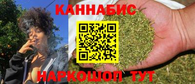 стаф Камышлов