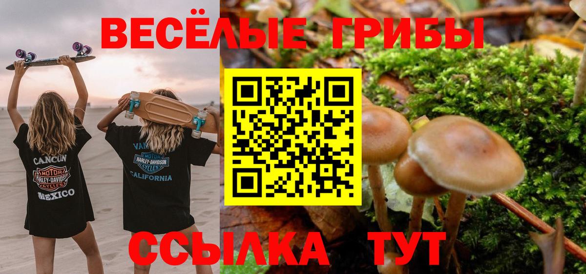 Галлюциногенные грибы Magic Shrooms Люберцы